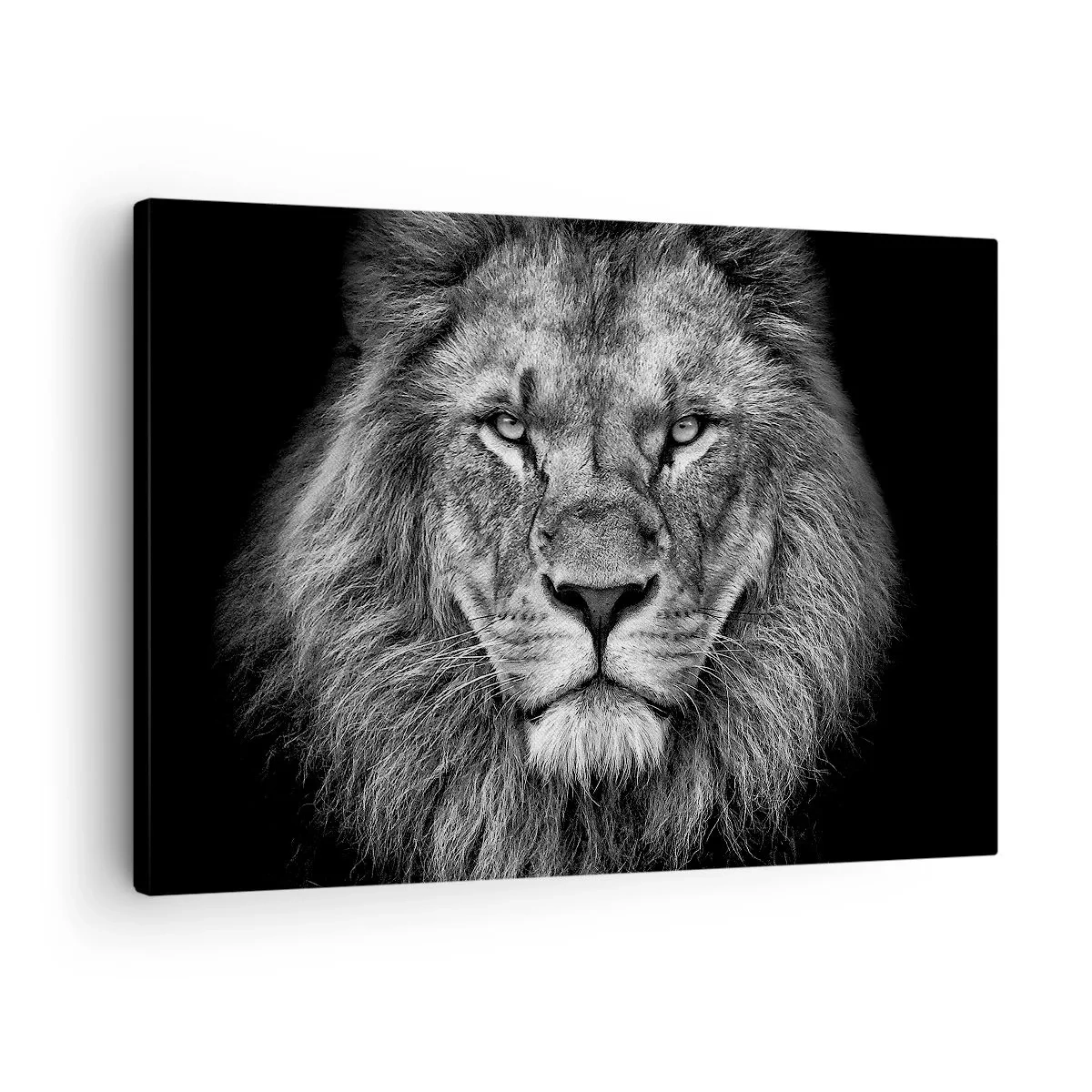 Lærredstryk - Billede på lærred - Portræt af en majestætisk løve i sort-hvid - 70x50cm - I kroningsklædning - Moderne vægdekoration til stue og soveværelse ARTTOR