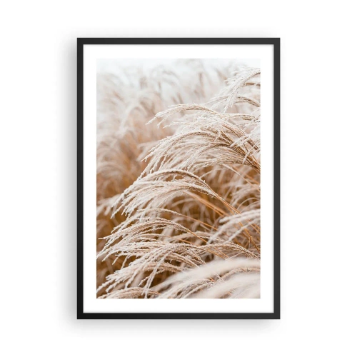 Plakat i sort ramme - Nærbillede af frostgræs i et vinterlandskab - 50x70cm - Bøjer sig for efterårssolen - Moderne vægdekoration til stue og soveværelse ARTTOR
