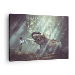 Lærredstryk - Billede på lærred - En dreng og en elefant i en skovomgivelse oplyst af sollys - 70x50cm - Og hør her... - Moderne vægdekoration til stue og soveværelse ARTTOR