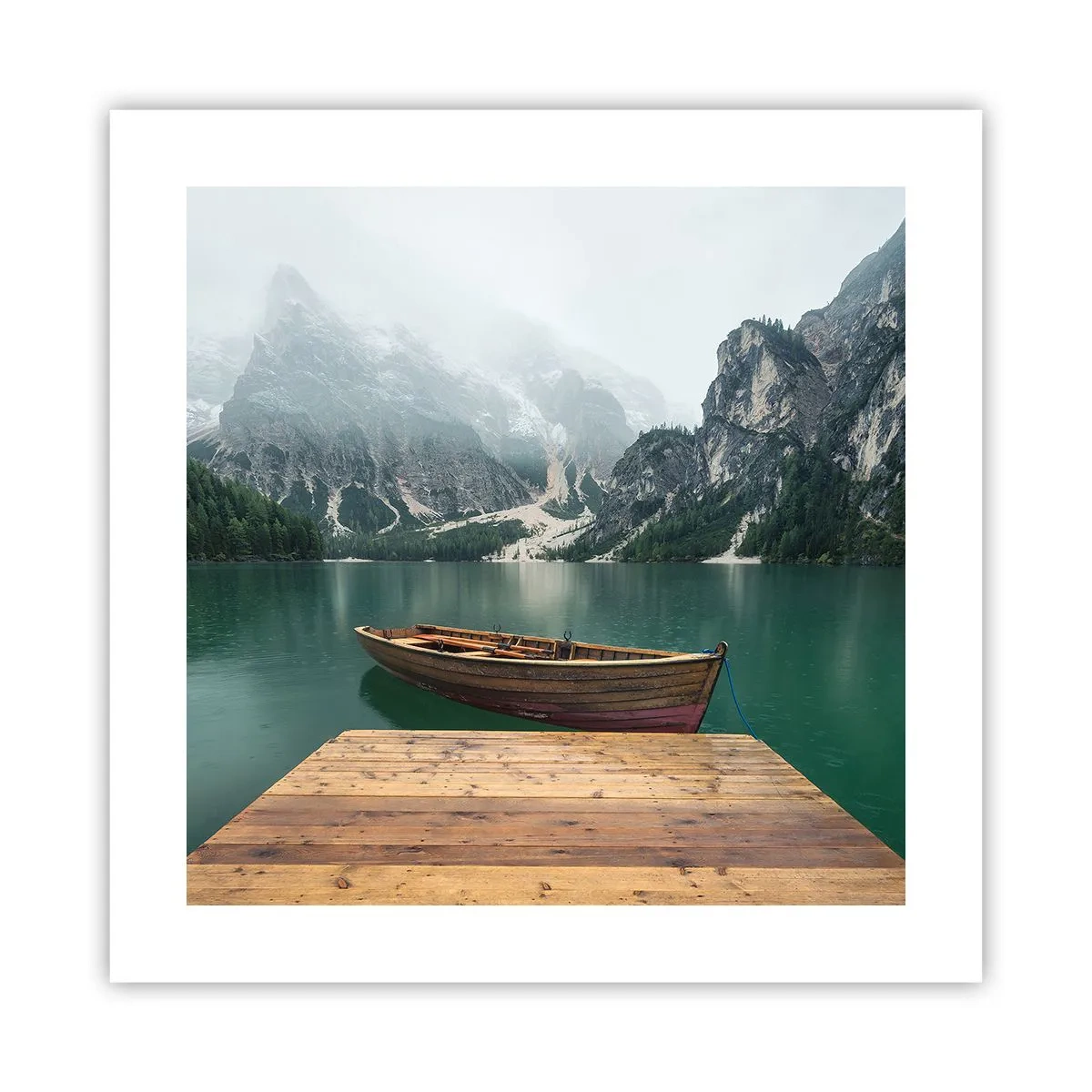 Plakat - "Og stolte pander" - 40x40 cm