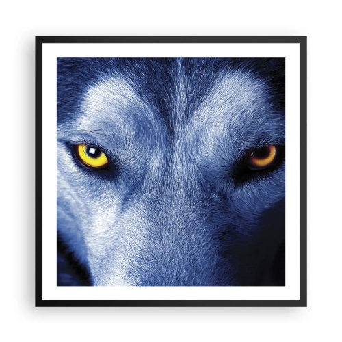 Plakat i sort ramme - Et hypnotiserende udseende - 60x60 cm