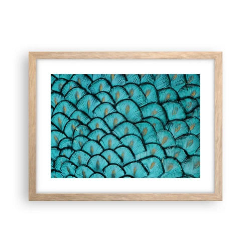 Plakat i ramme af lyst egetræ - Den store fjer-galla - 40x30 cm