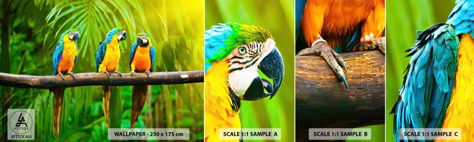 Fototapet Prøve Standard Eco - Og har du hørt, at hun...? - Fugle, Papegøjer, Natur - 100x30 cm