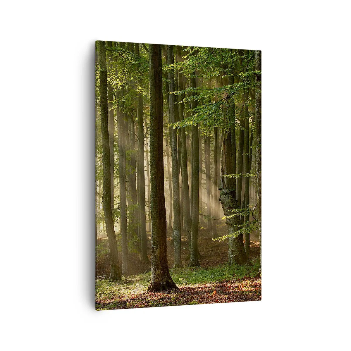 Lærredstryk - Billede på lærred - Strålende på en forårsmorgen - 70x100 cm