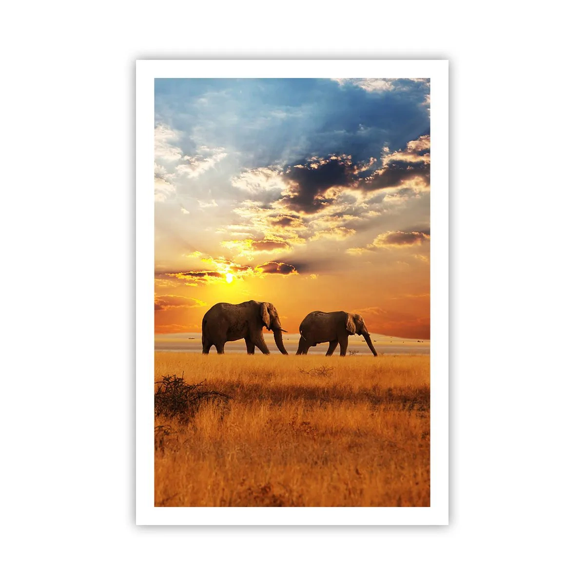 Plakat - Familievandring - 61x91 cm
