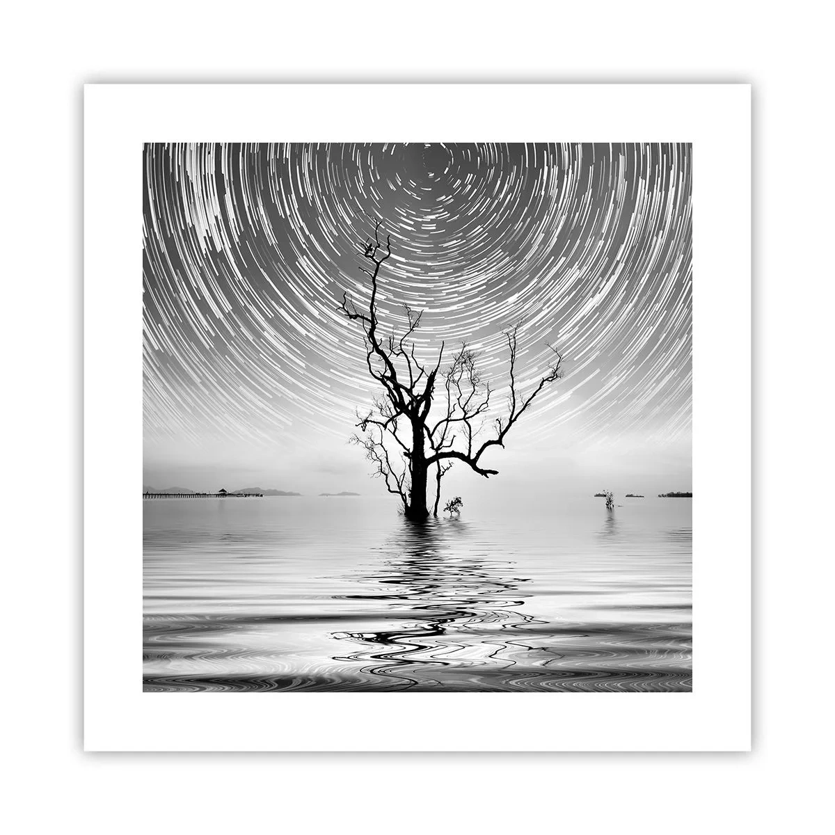 Plakat - En natursymfoni - 40x40 cm