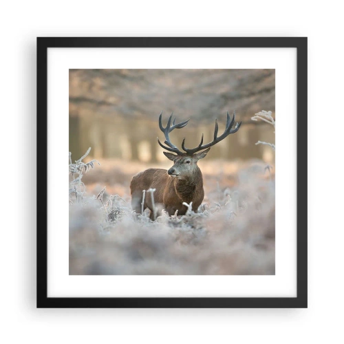 Plakat i sort ramme - En frisk morgen - 40x40 cm