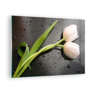 Billede på glas - Hvide tulipaner på en baggrund med vanddråber - 70x50cm - Forårsvævning - Moderne vægdekoration til stue og soveværelse ARTTOR