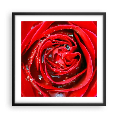 Plakat i sort ramme - I dråber af dug - 50x50 cm