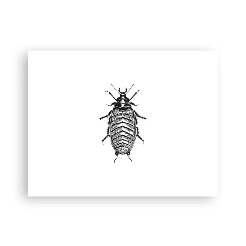 Plakat - Sikke et eksemplar! - 40x30 cm