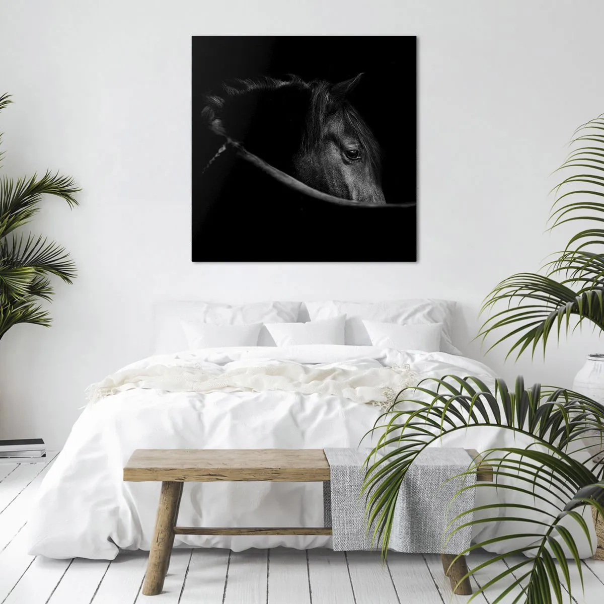 Lærredstryk - Billede på lærred - Sort prins - 50x50 cm