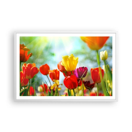 Plakat i hvid ramme - Alle solens farver - 91x61 cm