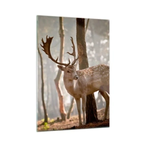 Billede på glas - Ungdommens lys - 50x70 cm