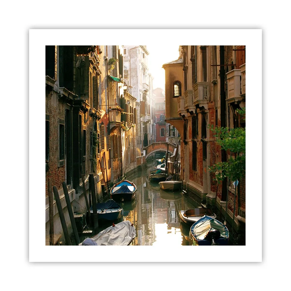 Plakat - I en venetiansk baggyde - 50x50 cm
