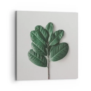 Lærredstryk - Billede på lærred - Tegning af selve naturen - 70x70 cm