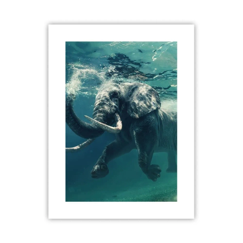 Plakat - Alle kan lide at svømme - 30x40 cm