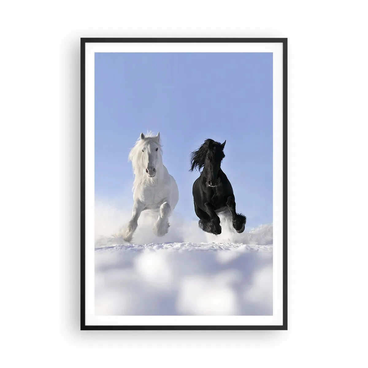 Plakat i sort ramme - Sort og hvid galop - 70x100 cm