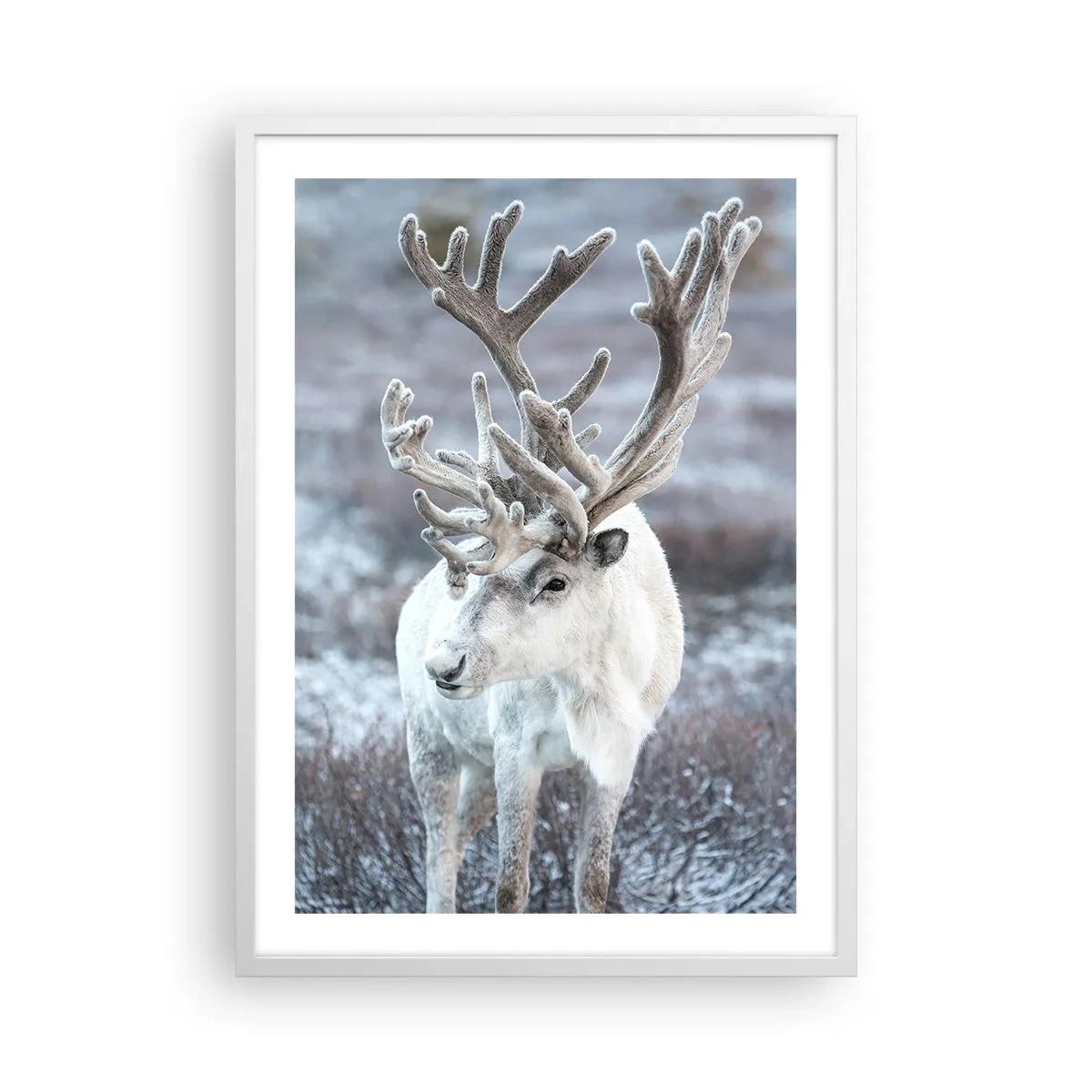 Plakat i hvid ramme - Portræt i solen - 50x70 cm