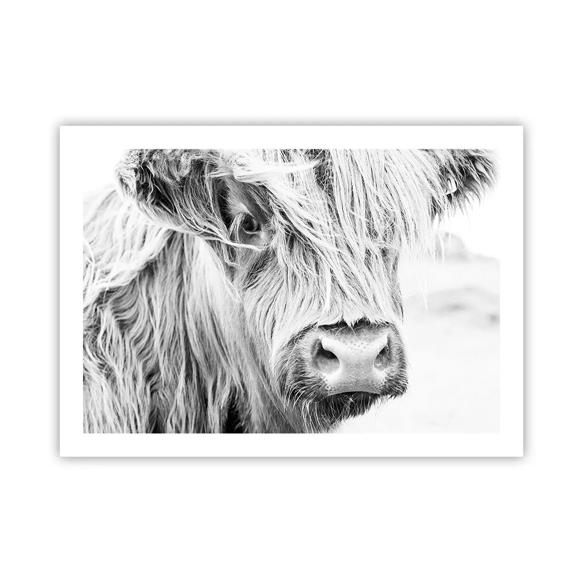 Plakat - Skotsk vildmark - 70x50 cm