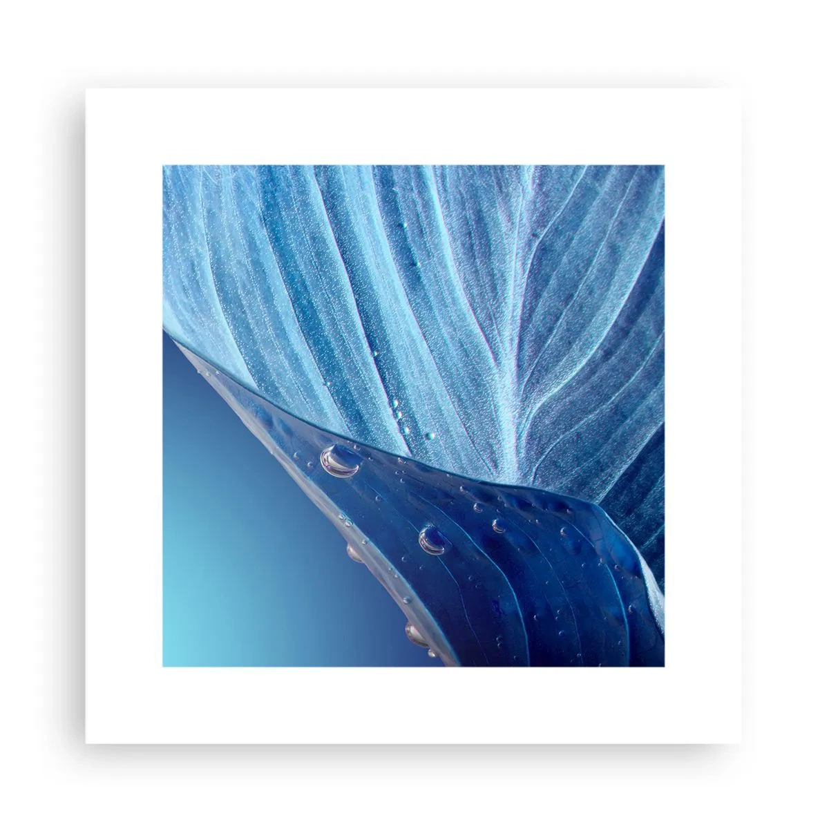 Plakat - Skjulte dråber af blåt - 30x30 cm