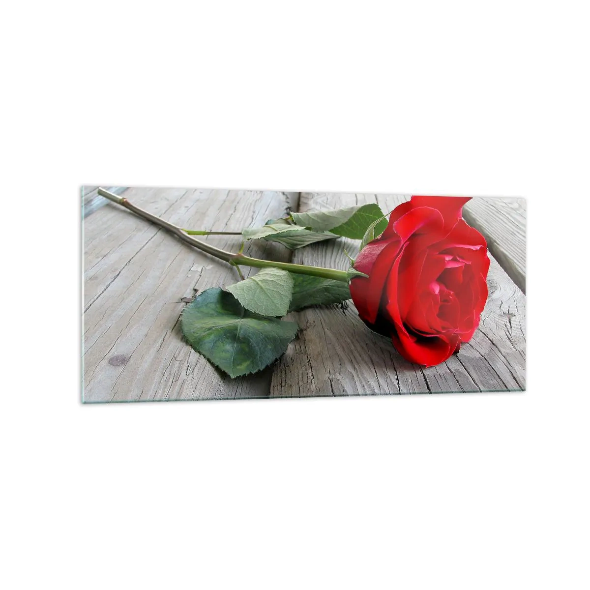 Billede på glas - Studie i skarlagenrødt - 120x50 cm