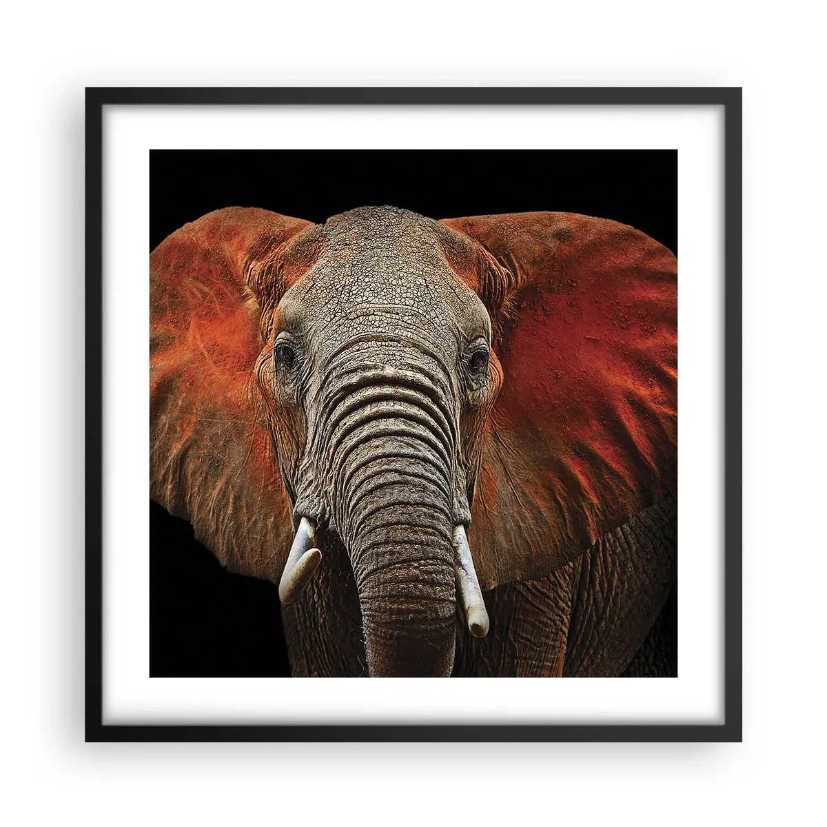 Plakat i sort ramme - Jeg er vild, er du? - 50x50 cm