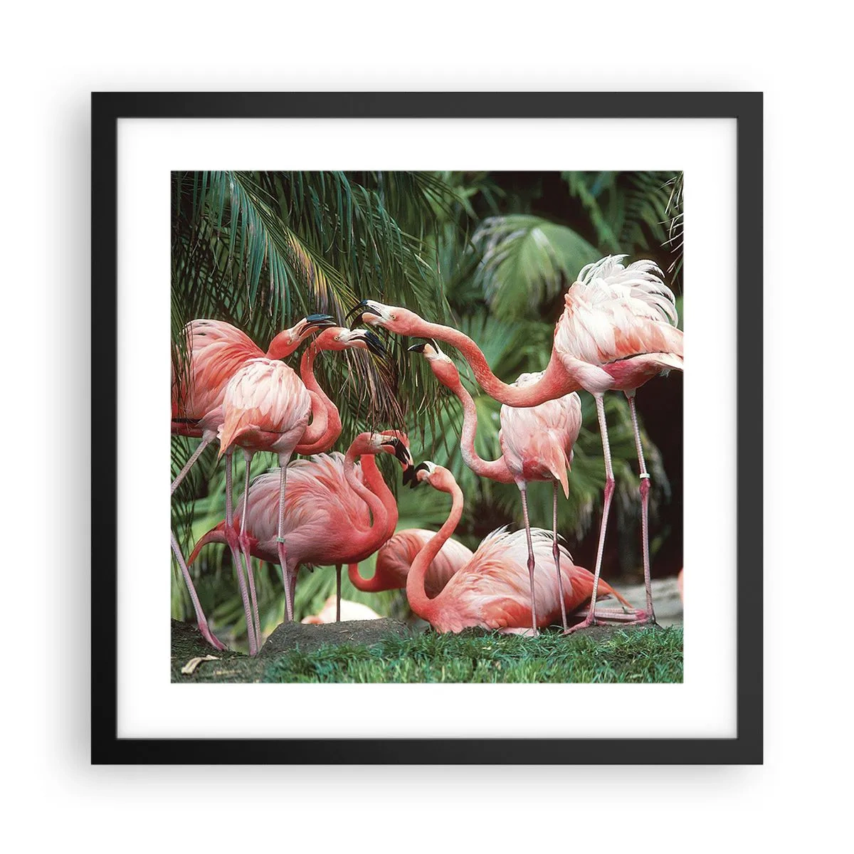 Plakat i sort ramme - Sladder om eftermiddagen - 40x40 cm