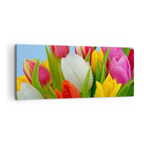 Lærredstryk - Billede på lærred - En blomstret regnbue i dugdråber - 100x40 cm
