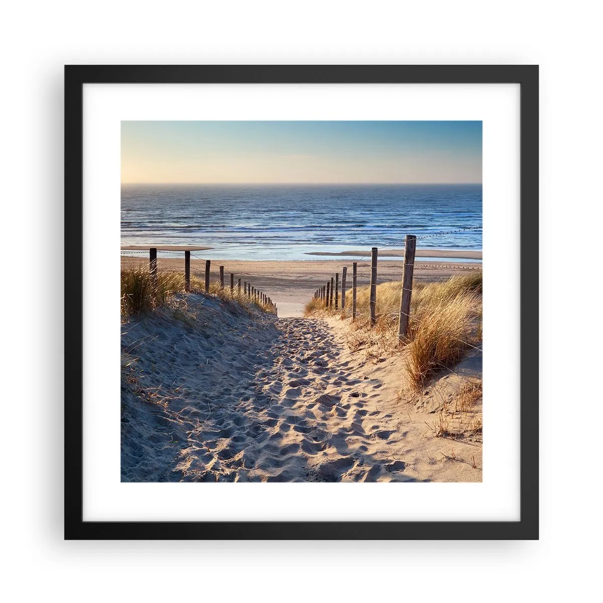 Plakat i sort ramme - Havet brummer, fuglene synger, en vild strand midt i græsset.... - 40x40 cm