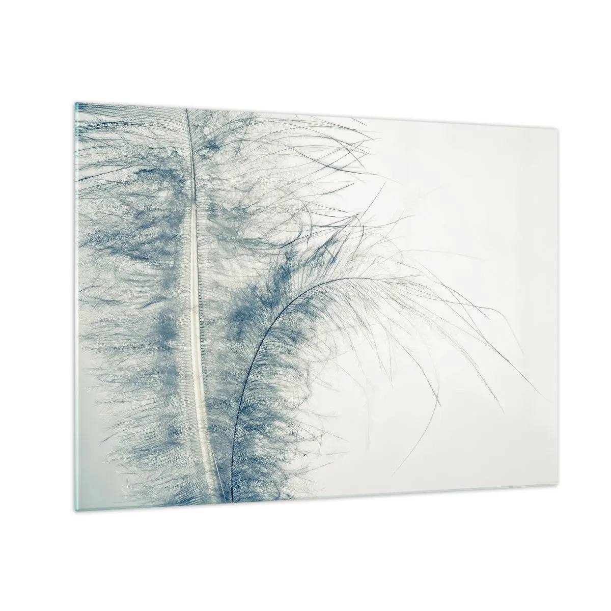 Billede på glas - En delikat fjer på en lys baggrund i minimalistisk stil - 70x50cm - Naturens hvisken - Moderne vægdekoration til stue og soveværelse ARTTOR