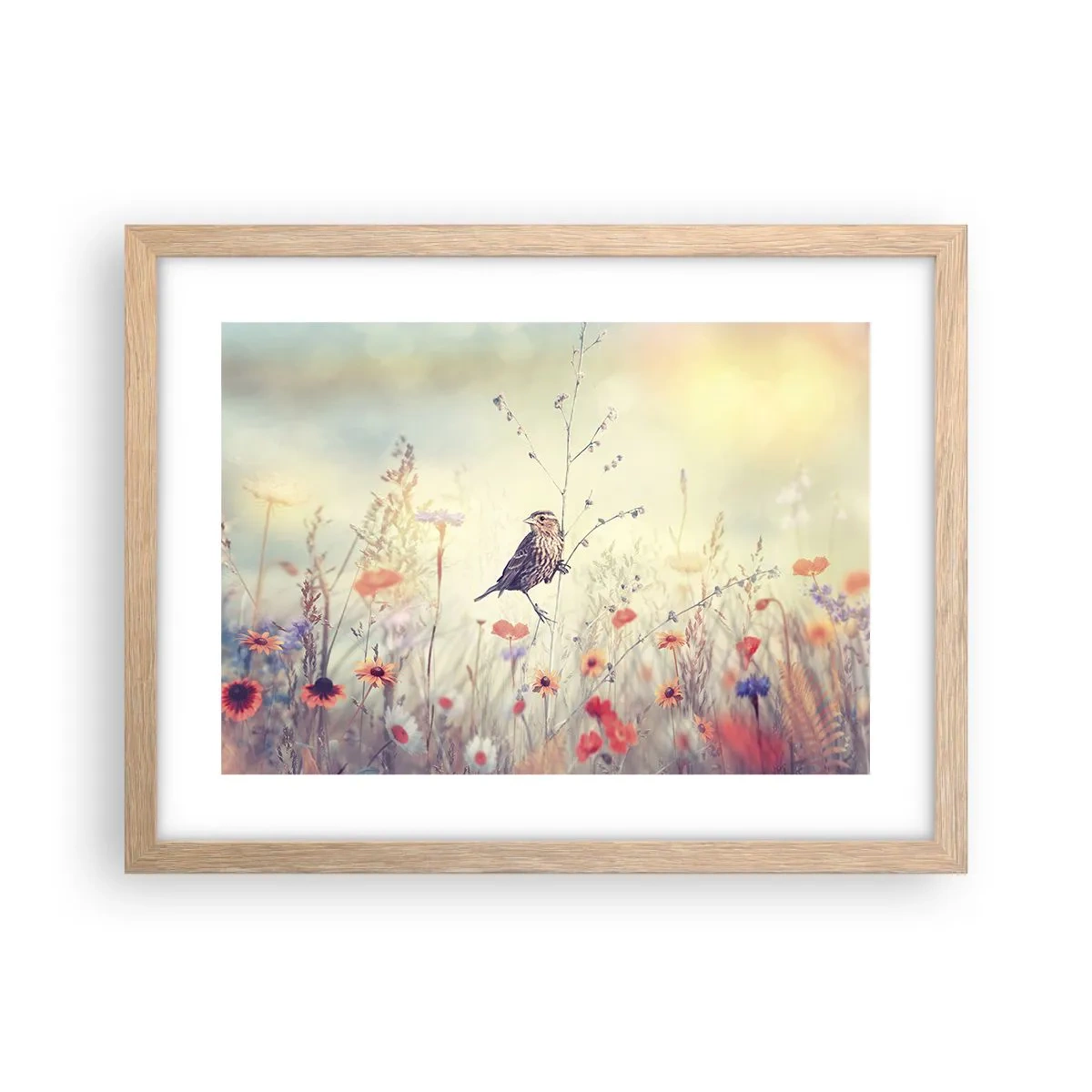 Plakat i ramme af lyst egetræ - Fugleportræt med en eng i baggrunden - 40x30 cm