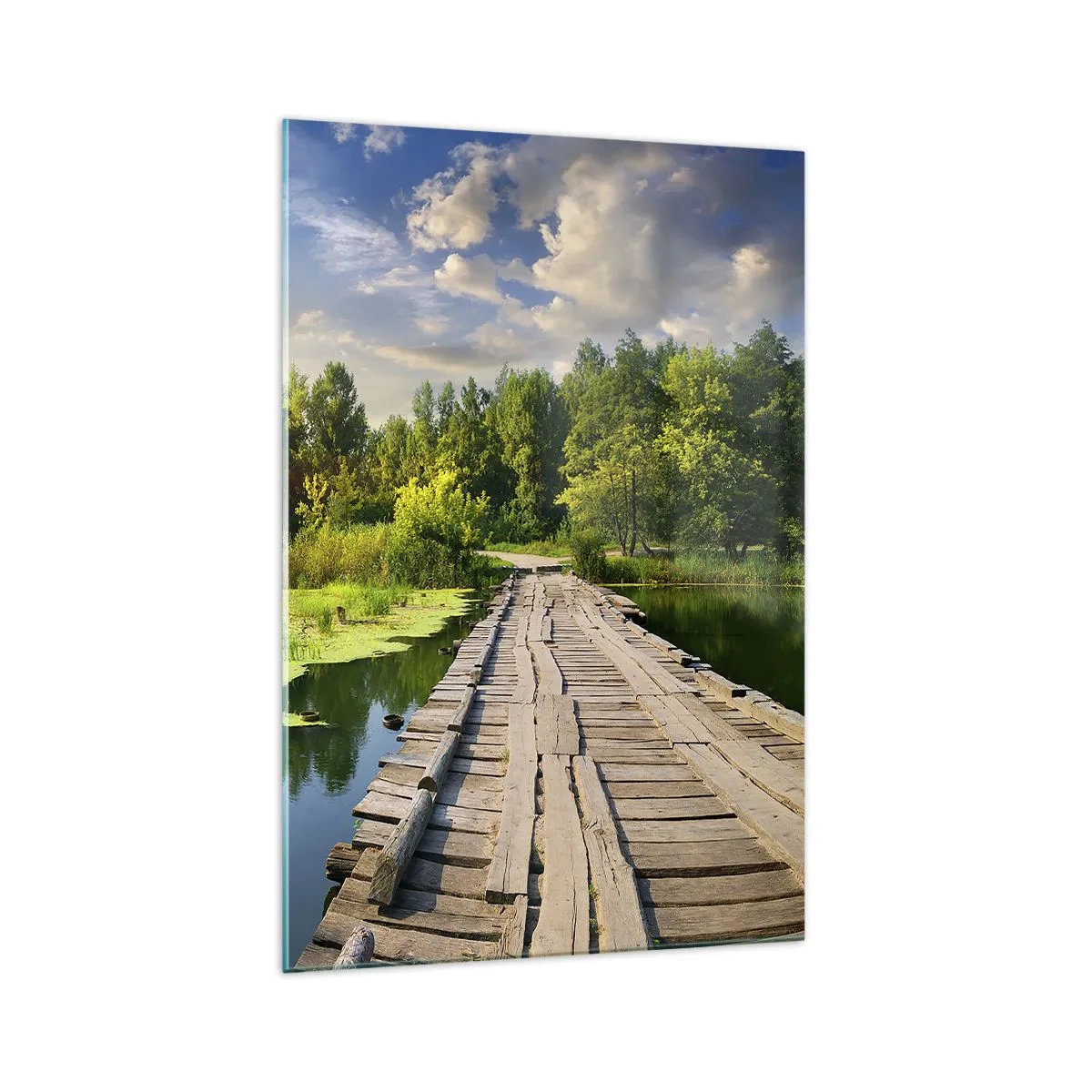 Billede på glas - Sommer, sommer overalt - 70x100 cm