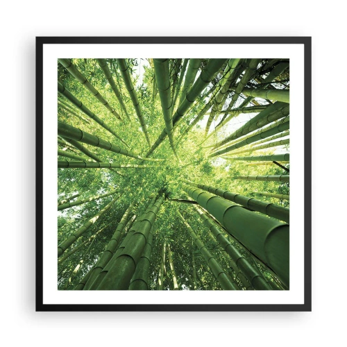 Plakat i sort ramme - I en bambuslund - 60x60 cm