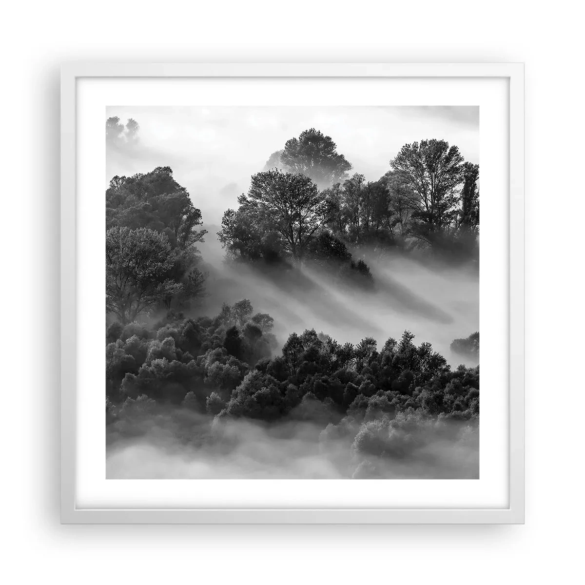 Plakat i hvid ramme - At vågne fra søvnen - 50x50 cm