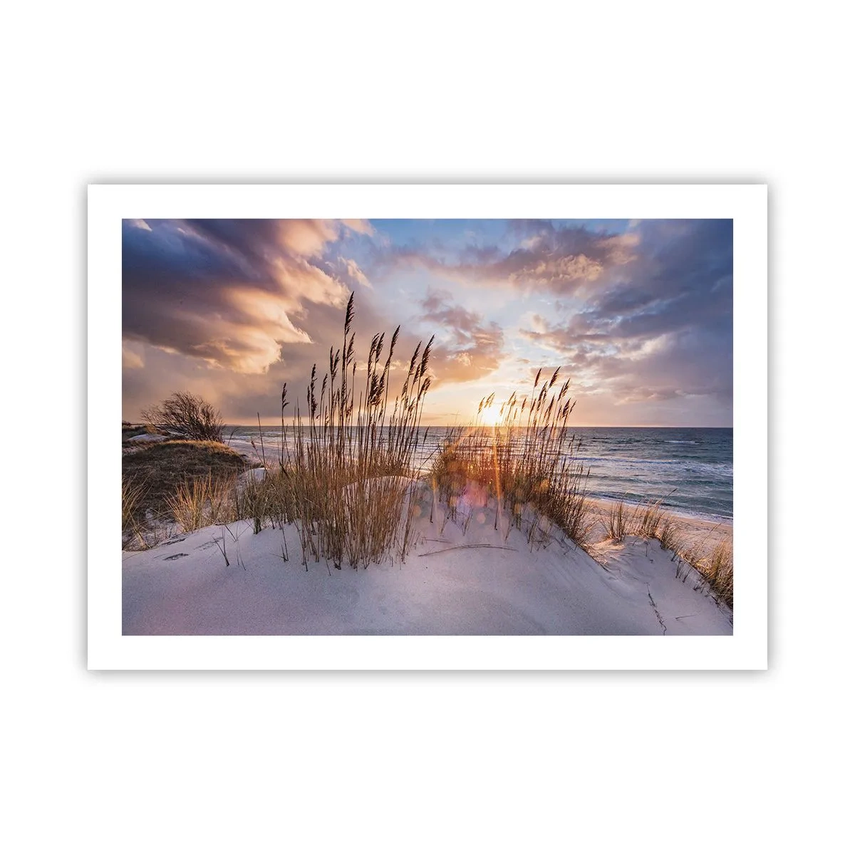 Plakat - Farvel til sol og vind - 70x50 cm