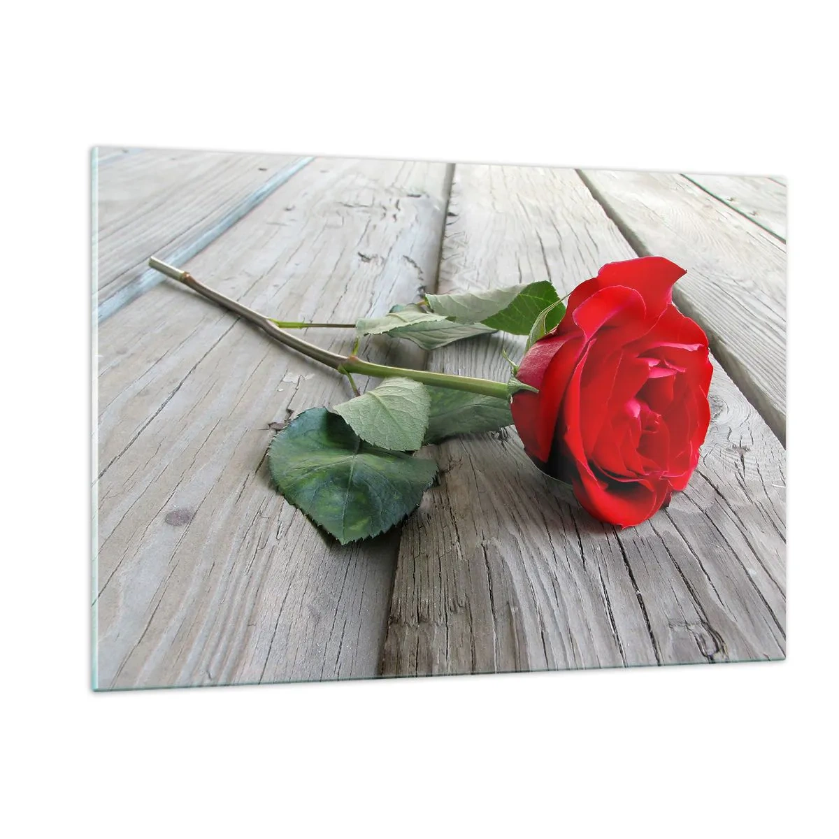 Billede på glas - Studie i skarlagenrødt - 120x80 cm