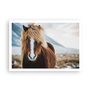 Plakat - Kan du mærke friheden? - 100x70 cm