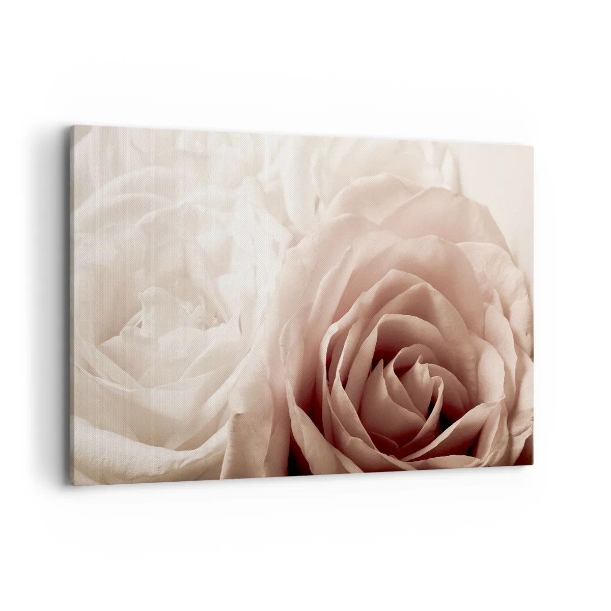 Lærredstryk - Billede på lærred - I rosens hjerte - 120x80 cm