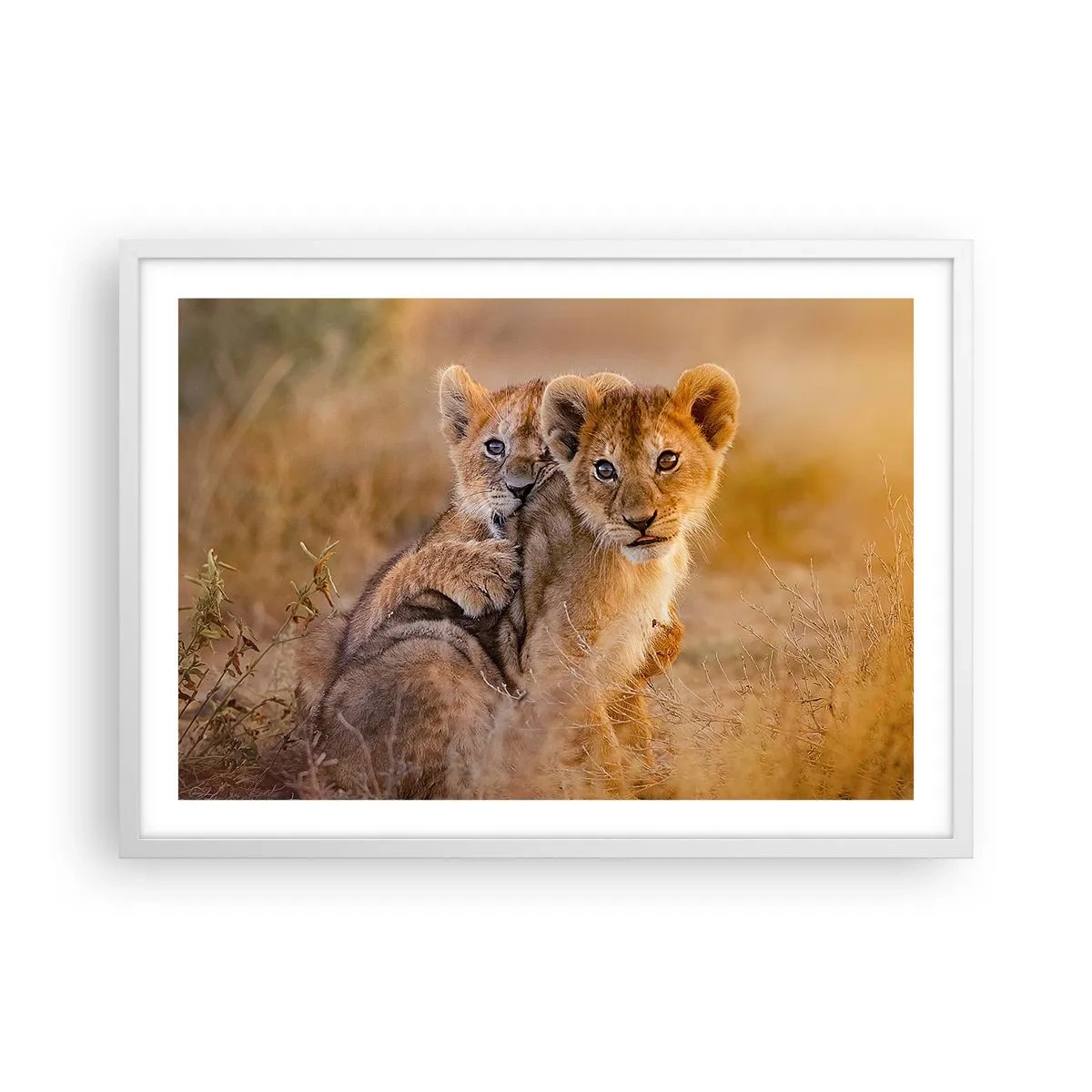 Plakat i hvid ramme - Forstyr ikke! Vi har det sjovt - 70x50 cm