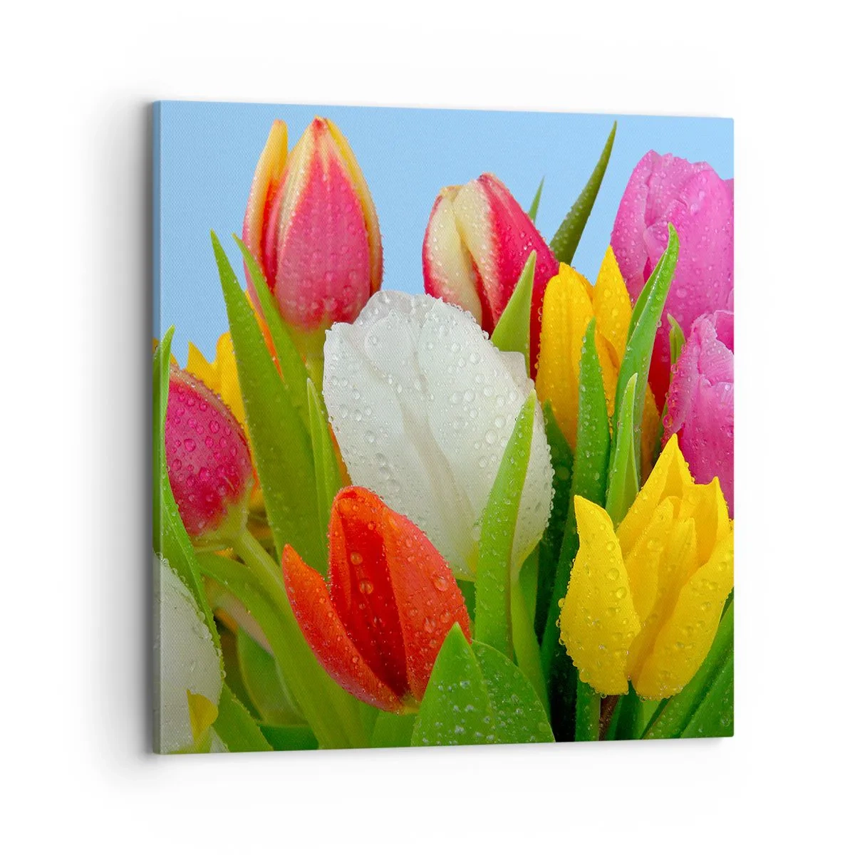 Lærredstryk - Billede på lærred - En blomstret regnbue i dugdråber - 70x70 cm