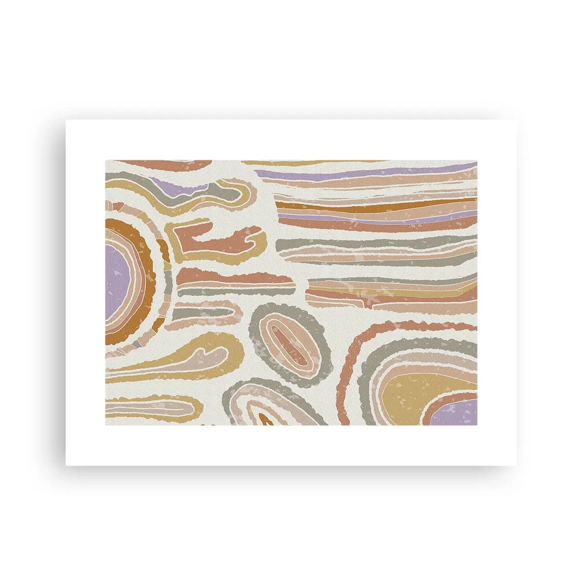 Plakat - Farverige tværsnit - 40x30 cm