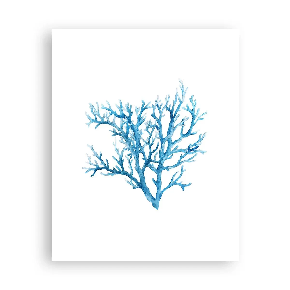 Plakat - Marint filigran - 40x50 cm