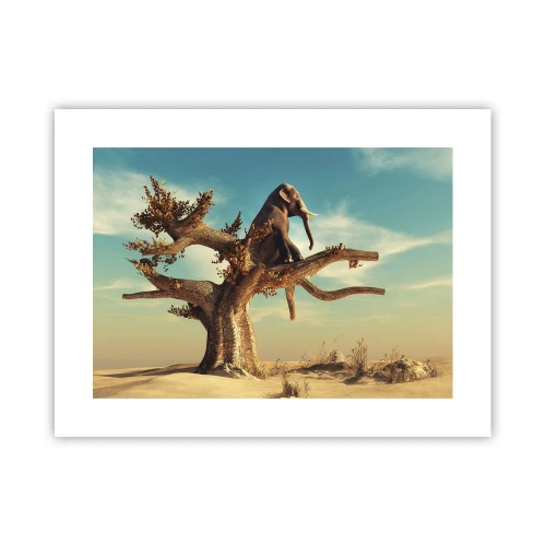 Plakat - Et nyt synspunkt - 40x30 cm