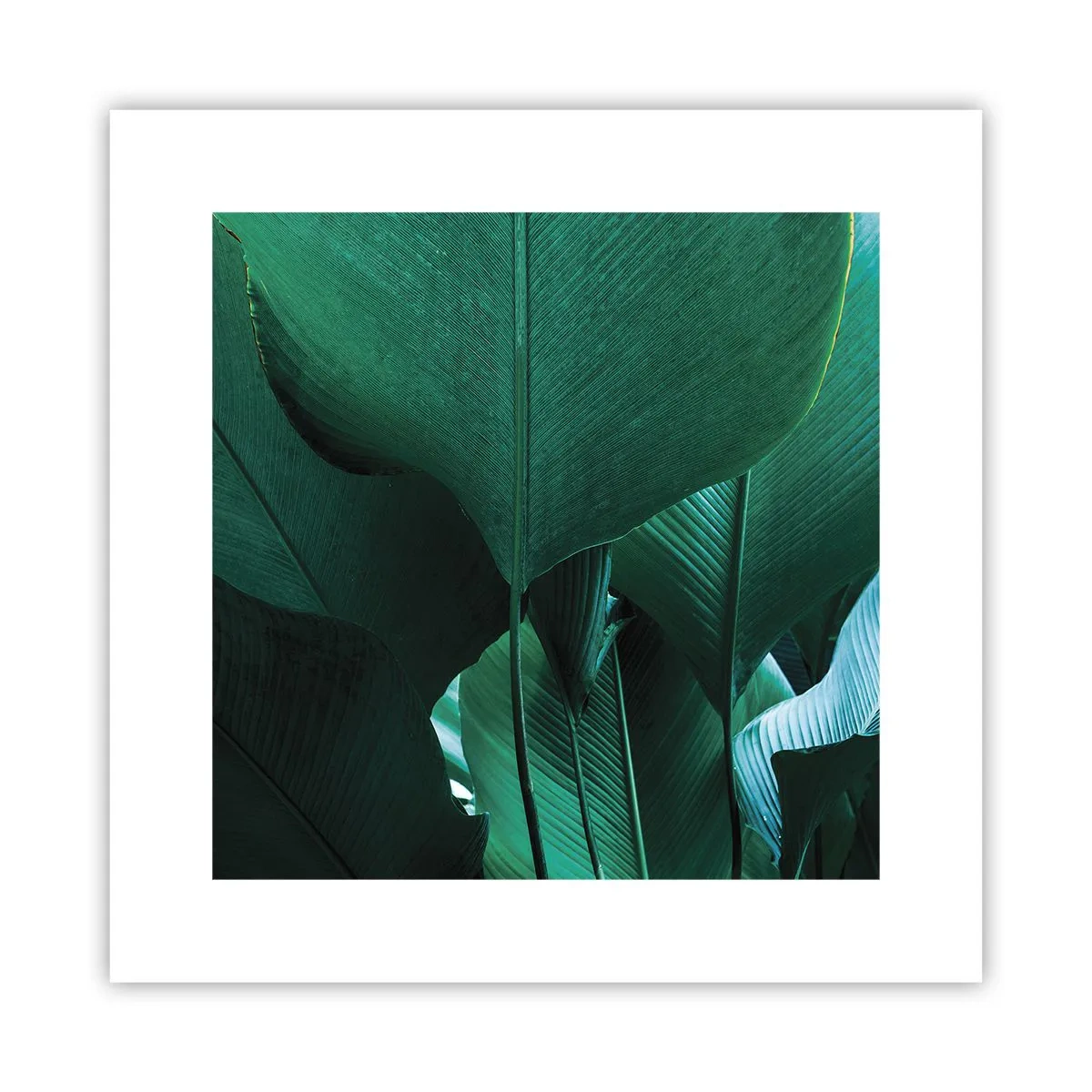 Plakat - Mod lyset - 30x30 cm