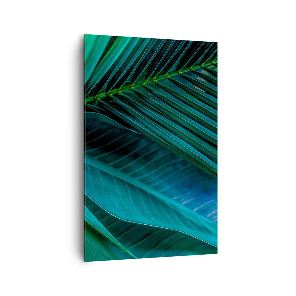 Lærredstryk - Billede på lærred - Anatomi af en grøn - 80x120 cm