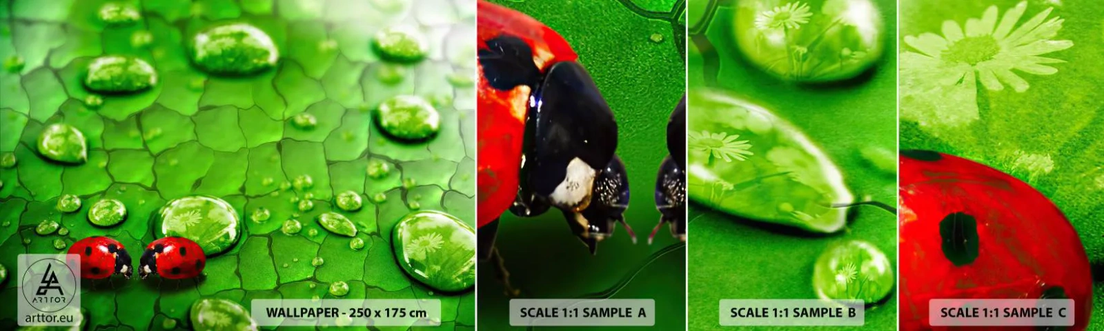 Fototapet Prøve Standard Eco - Møde i det grønne - Natur, Mariehøne, En dråbe vand - 100x30 cm