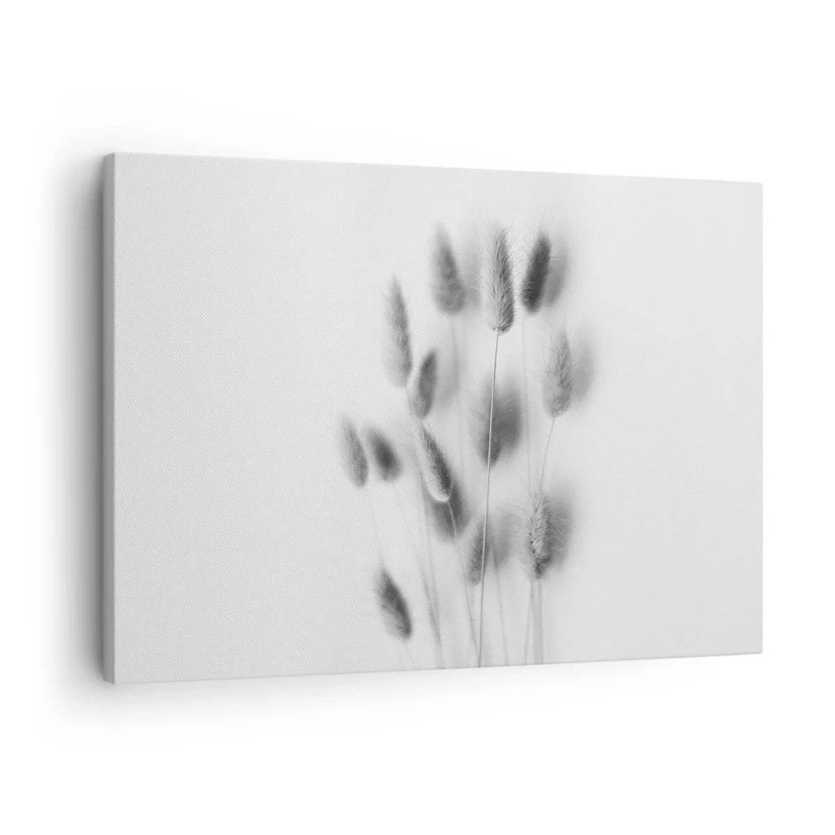 Lærredstryk - Billede på lærred - Sarte græsser i grå nuancer på en hvid baggrund - 70x50cm - Dens bløde græs - Moderne vægdekoration til stue og soveværelse ARTTOR