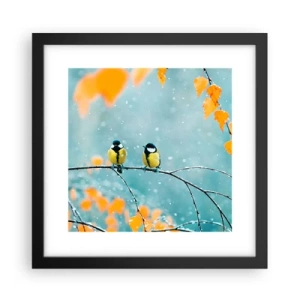 Plakat i sort ramme - Sladder om fugle - 30x30 cm