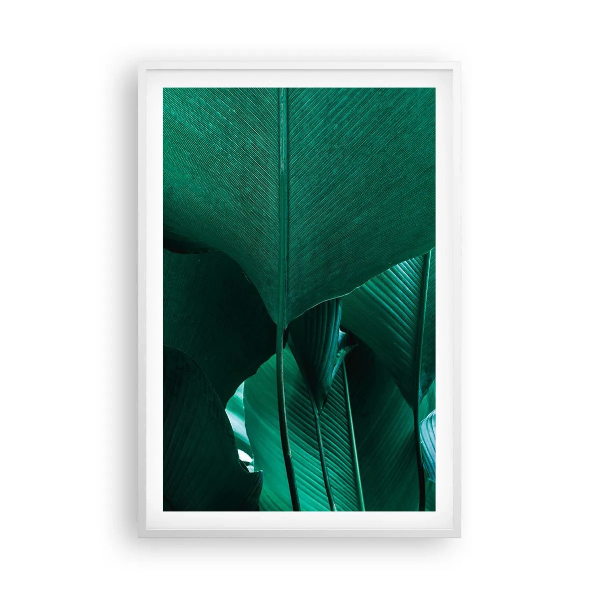 Plakat i hvid ramme - Mod lyset - 61x91 cm