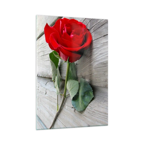 Billede på glas - Studie i skarlagenrødt - 50x70 cm